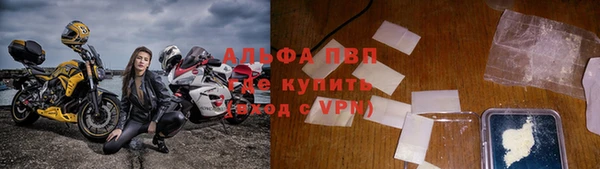 mdpv Белокуриха