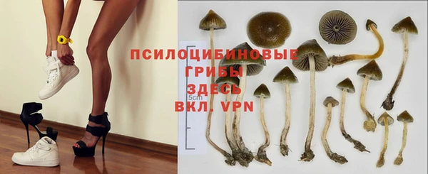 герыч Богданович