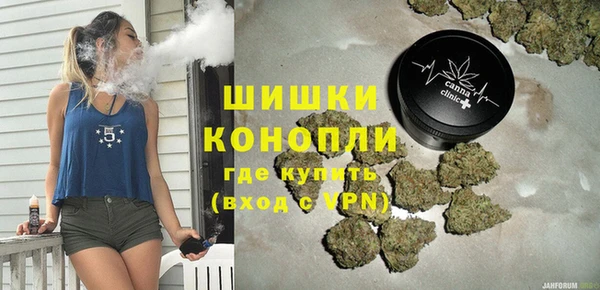мдпв Богородск