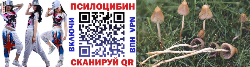 Псилоцибиновые грибы мицелий Ершов