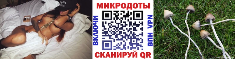 Галлюциногенные грибы ЛСД  Ершов 